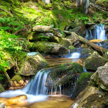 Yeşil ormanda güzel bir şelale
