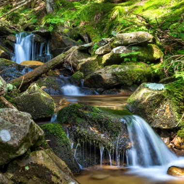 Yeşil ormanda güzel bir şelale