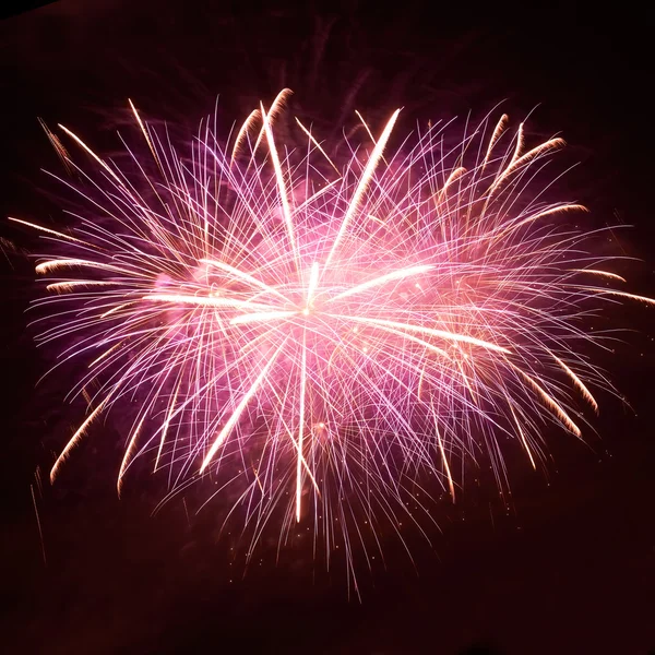 Red colorful fireworks — Stock Photo, Image