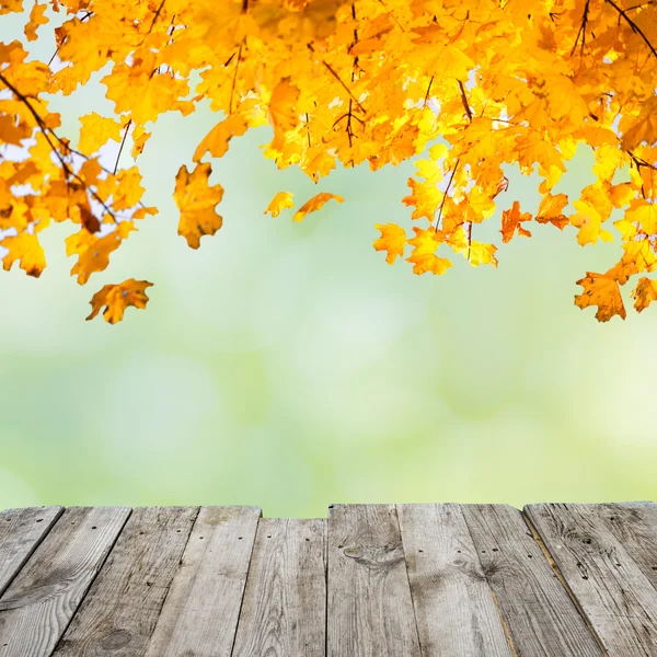 Hojas de otoño naranja sobre escritorio de madera — Foto de Stock