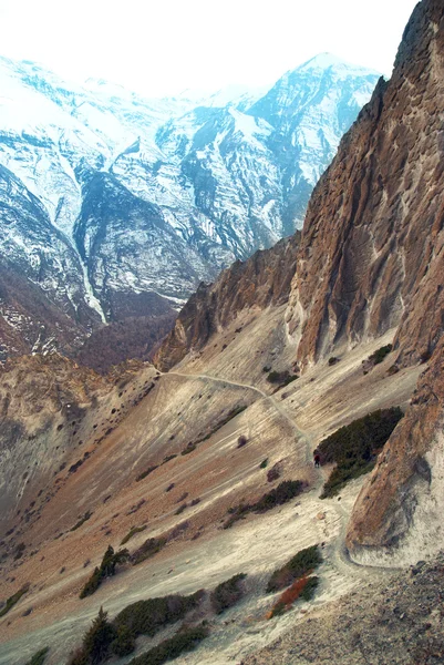 Himalaya Dağları'nın görünümü — Stok fotoğraf