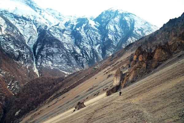 Veduta delle montagne dell'Himalaya — Foto stock gratuita