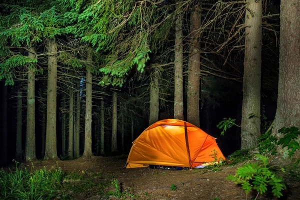 Orange illuminated tent in forest