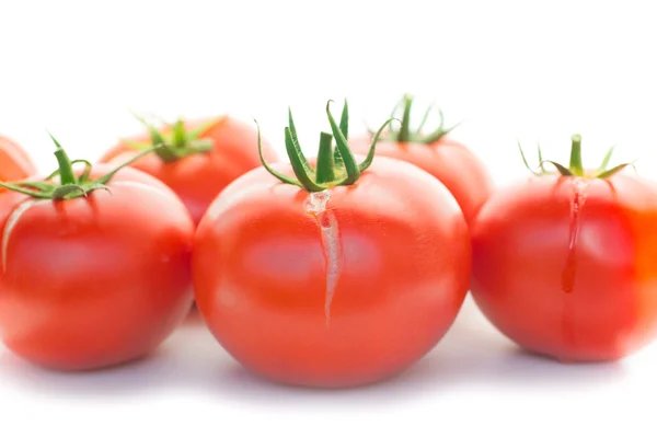 Červené čerstvá rajčata — Stock fotografie