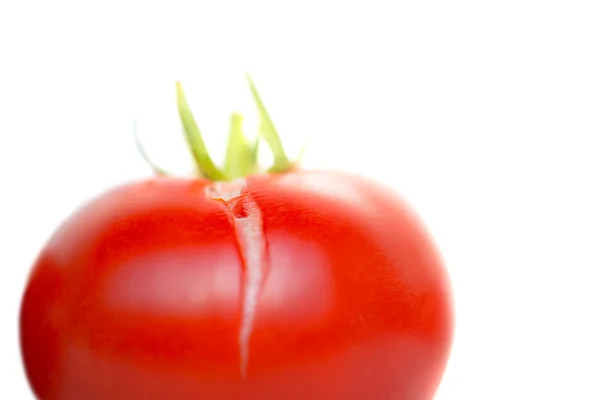 Červené čerstvé rajče — Stock fotografie