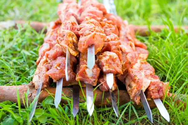 Brochettes avec des brochettes de shish crues — Photo