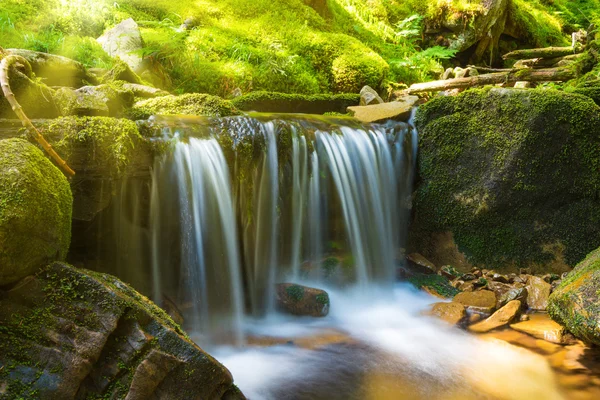 Waterfall in green forest — Stock Photo, Image