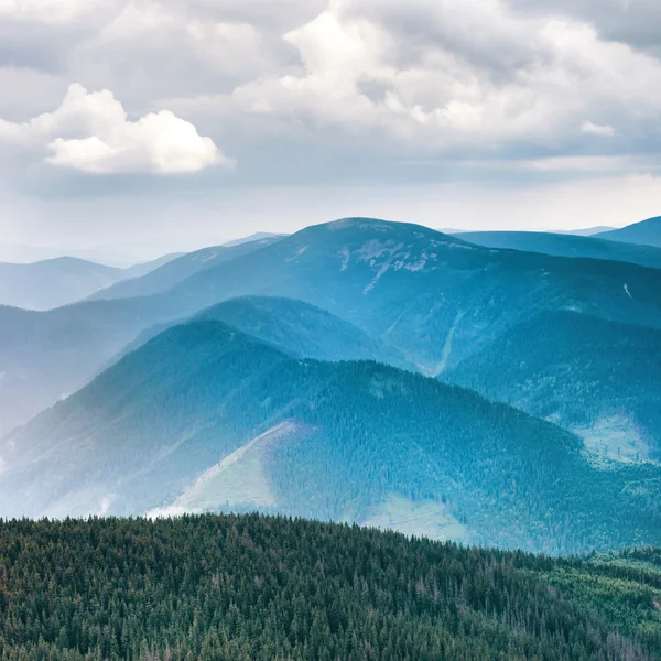 Montañas azules con bosque verde —  Fotos de Stock