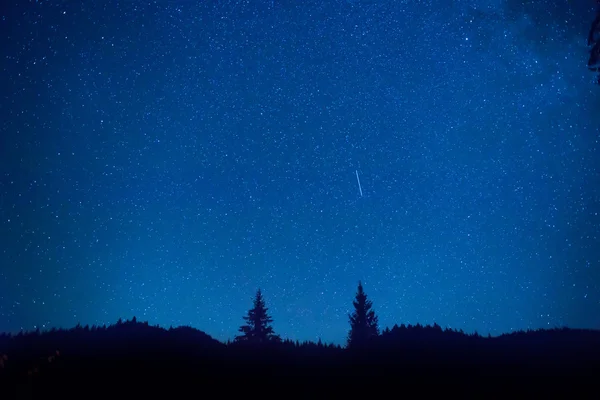 Nachtelijke hemel boven mysterie bos — Stockfoto