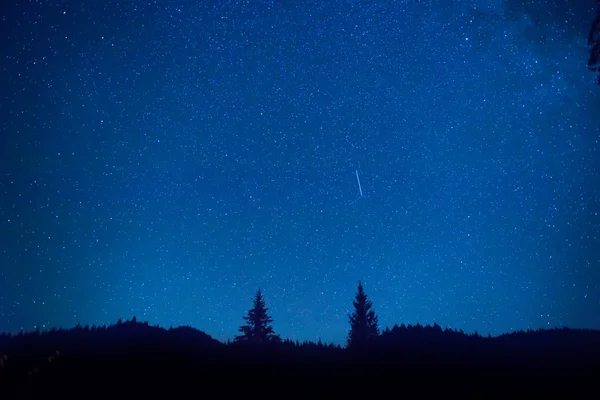 Ciel nocturne au-dessus forêt mystérieuse — Photo