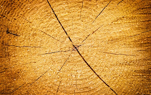 Textura de madera agrietada amarillo claro — Foto de Stock