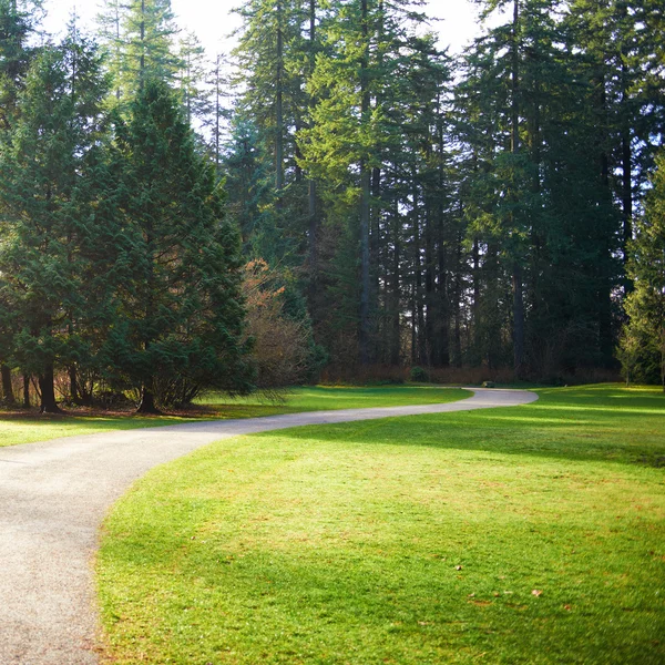 Road in the green city park — Stock Photo, Image