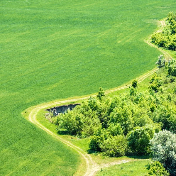 Paisagem com campo de grama verde — Fotografia de Stock