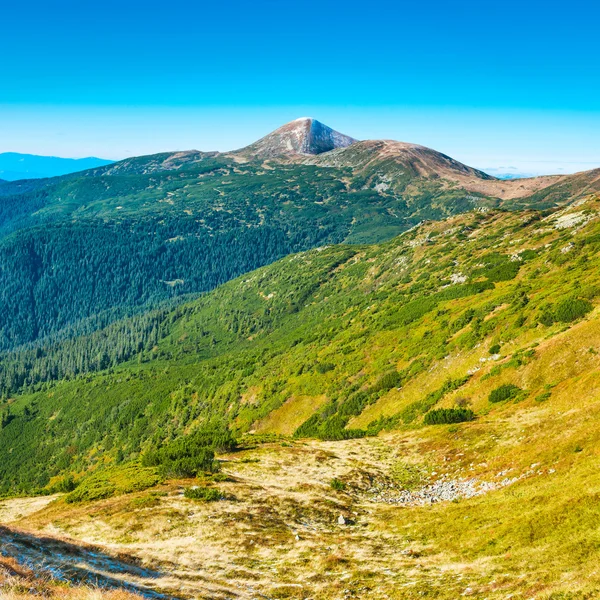 Top van de berg in de groene vallei — Stockfoto