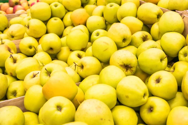 Red and yellow fresh apples — Stock Photo, Image