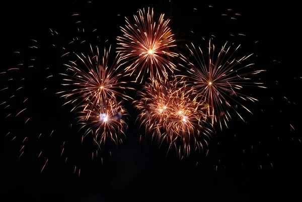 Buntes rotes Feuerwerk — Stockfoto