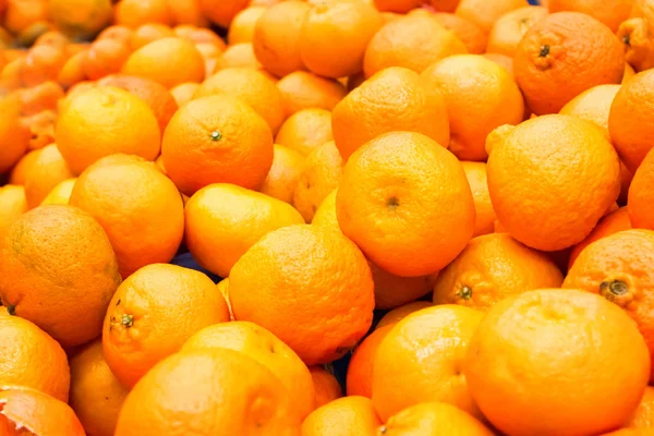 Hromady čerstvých citrusových — Stock fotografie