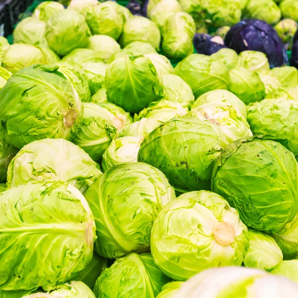 Fresh cabbage at farmers market — Stock Photo, Image