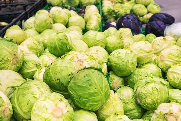 Çiftçi Market taze lahana — Stok fotoğraf