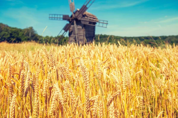 Mill on wheat field — Stock Photo, Image