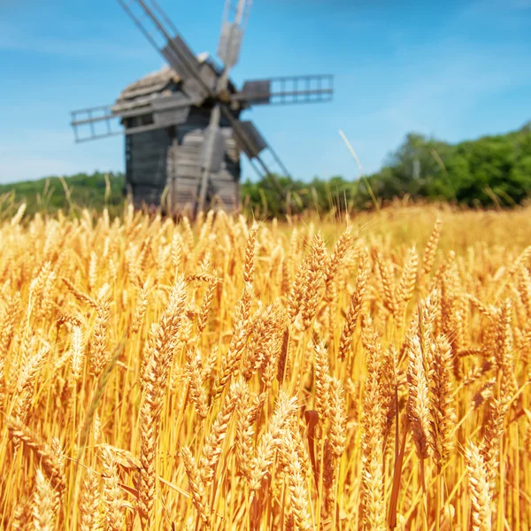 Мельница на пшеничном поле — стоковое фото