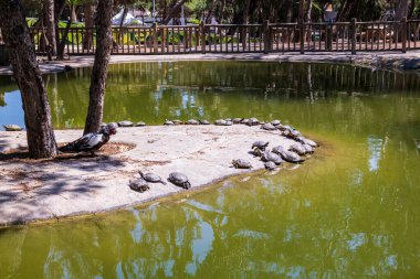 Guardamar, İspanya, Avrupa 'daki Kraliçe Sofya Parkı