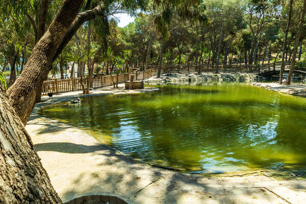 Парк королевы Софии в Гуардамаре, Испания