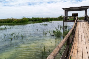 İspanya 'daki Parc Natural el Fondo' daki göllerin üzerinden geçişler
