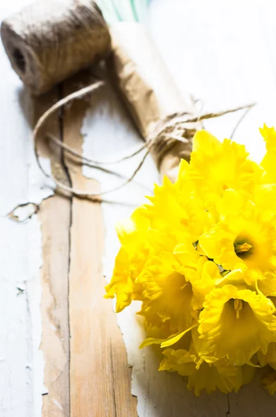 Yellow daffodil flowers — Stock Photo, Image