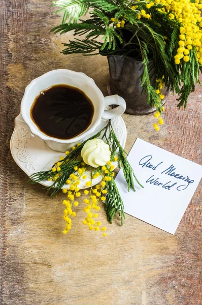 Flores de café y mimosa — Foto de Stock