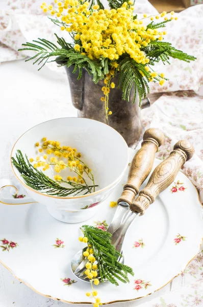 Tablo ayarı Mimoza çiçekli — Stok fotoğraf