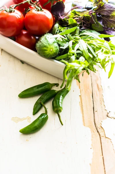 Verduras frescas ecológicas — Foto de Stock