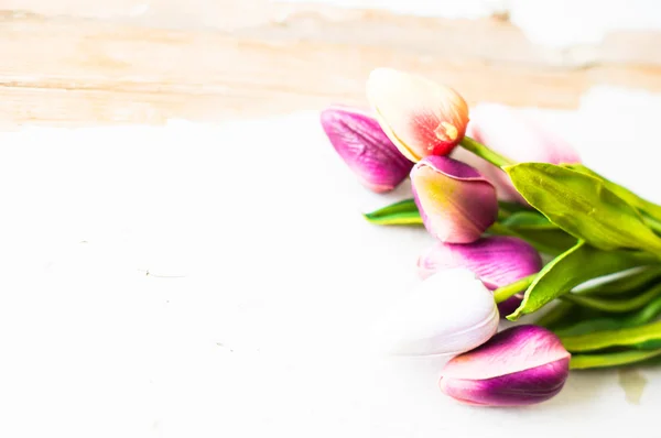 Boeket van kleurrijke tulpen — Stockfoto