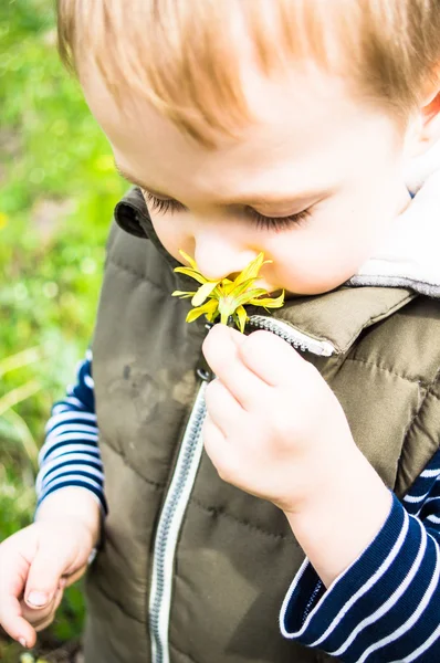 Little boy and flower — Stock Photo, Image