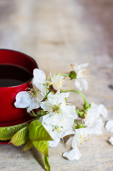 Koffie tijd en voorjaar — Stockfoto