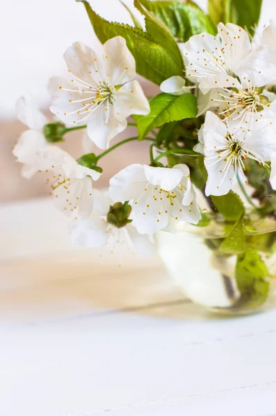 Flor de cerejeira em uma mesa — Fotografia de Stock