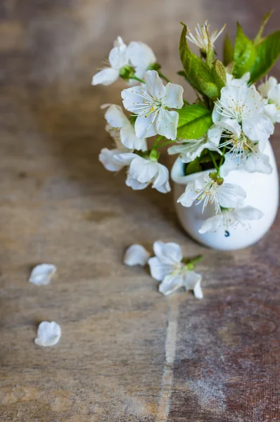 Цветение сакуры на столе — стоковое фото