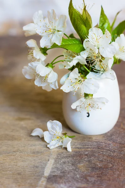 Flor de cerejeira em uma mesa — Fotografia de Stock