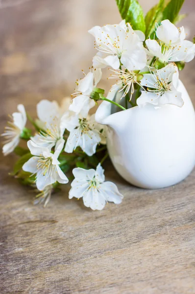 테이블에 벚꽃 — 스톡 사진