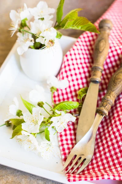 Configuración de la mesa de primavera —  Fotos de Stock