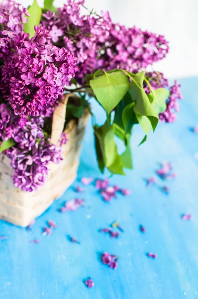 Spring time interior with lilac — Stock Photo, Image