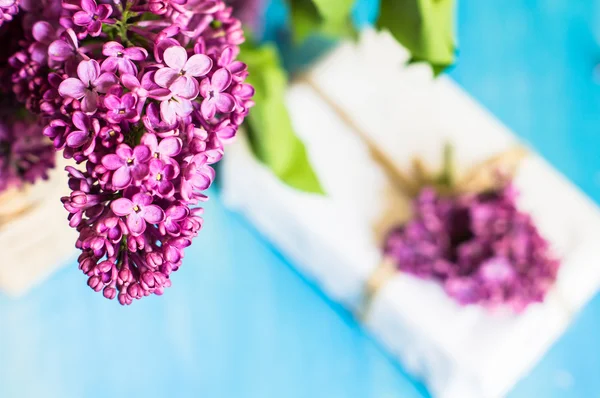 Spring time interior with lilac — Stock Photo, Image