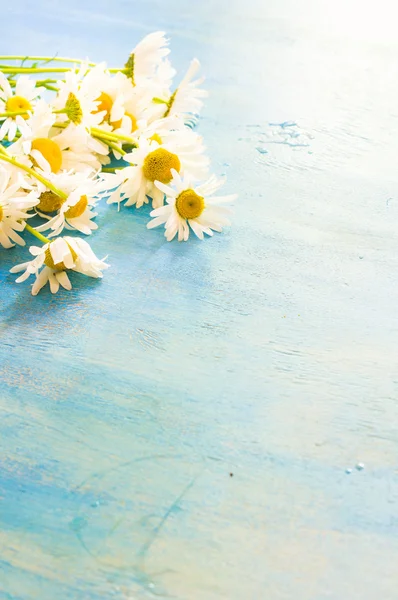 Інтер'єр весняного часу з квітами — стокове фото