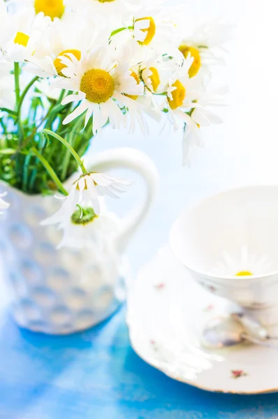 Vår tid inredning med blommor — Stockfoto