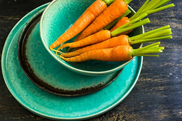 Frische Bio-Karotten — Stockfoto