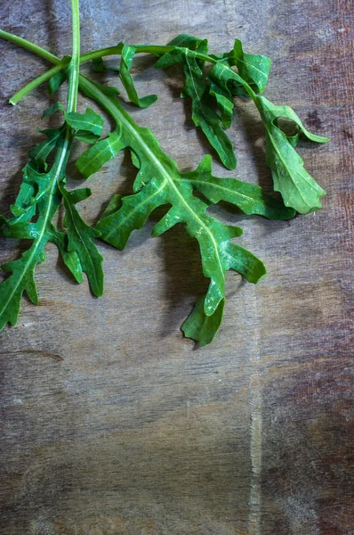 Matlagingskonsept med friske urter – stockfoto