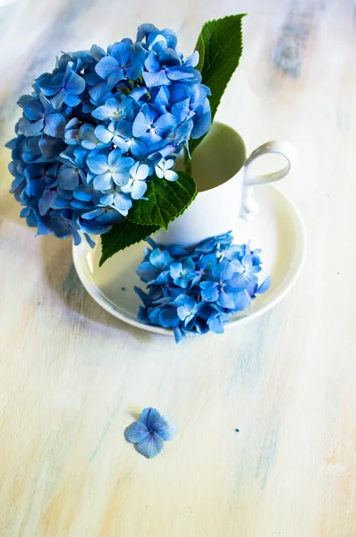 Hortensienblumen und Tischdecken — Stockfoto