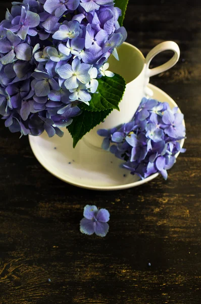 Hydrangea flowers and table setting — Stock Photo, Image