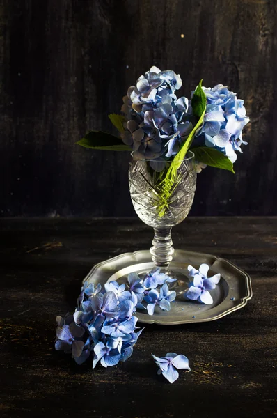 Hydrangea bloemen en de instelling van de tabel — Stockfoto