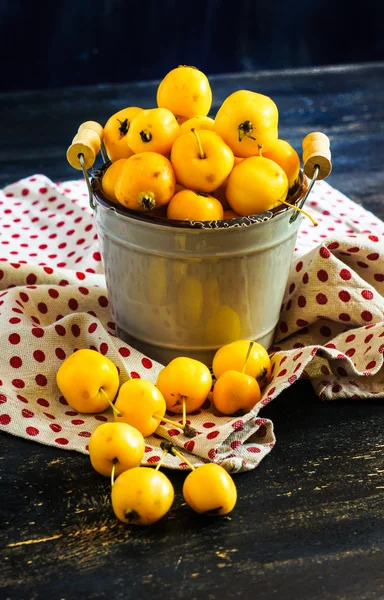 Herbstliches Konzept mit Krabbenäpfeln — Stockfoto